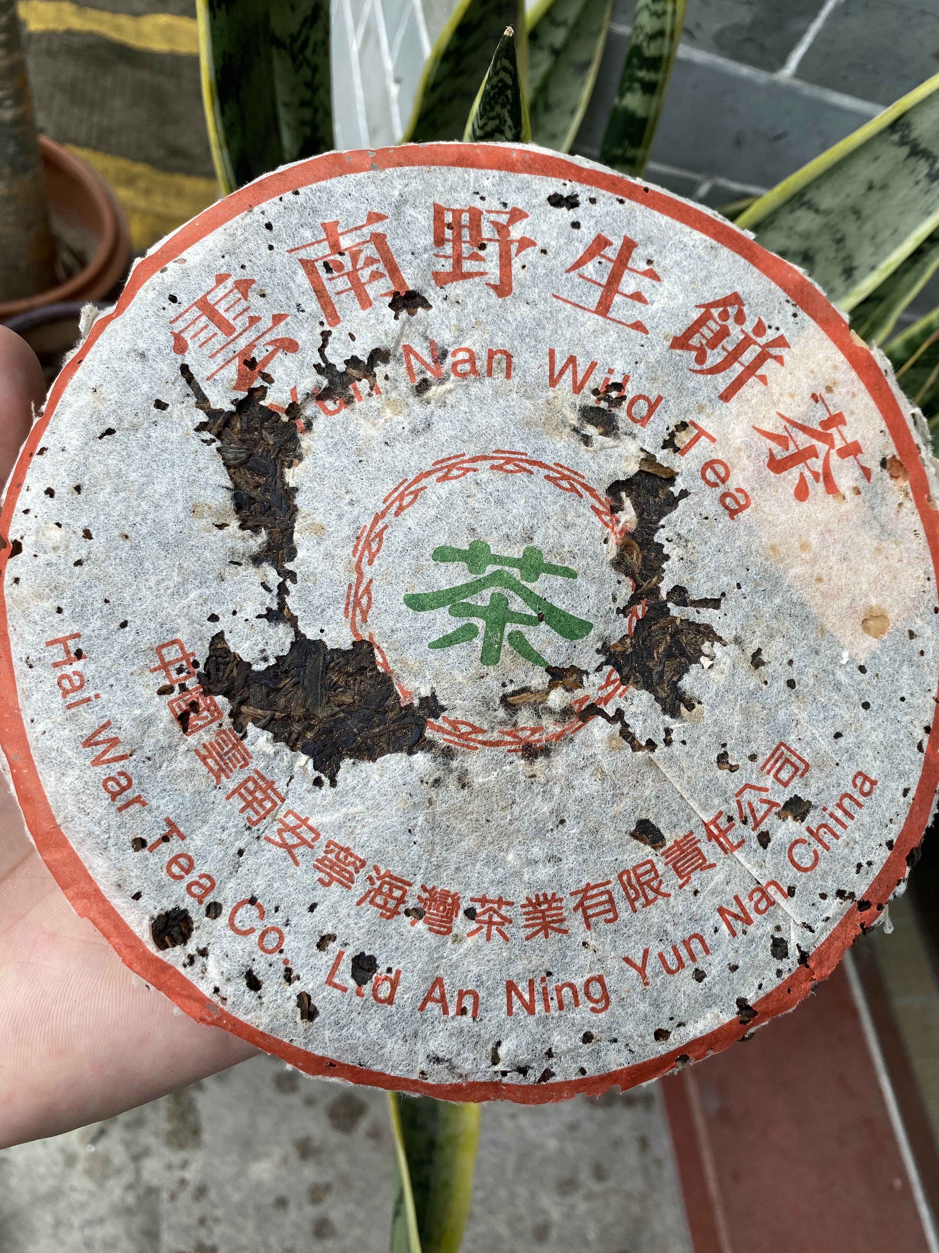 99年老同志7068配图1