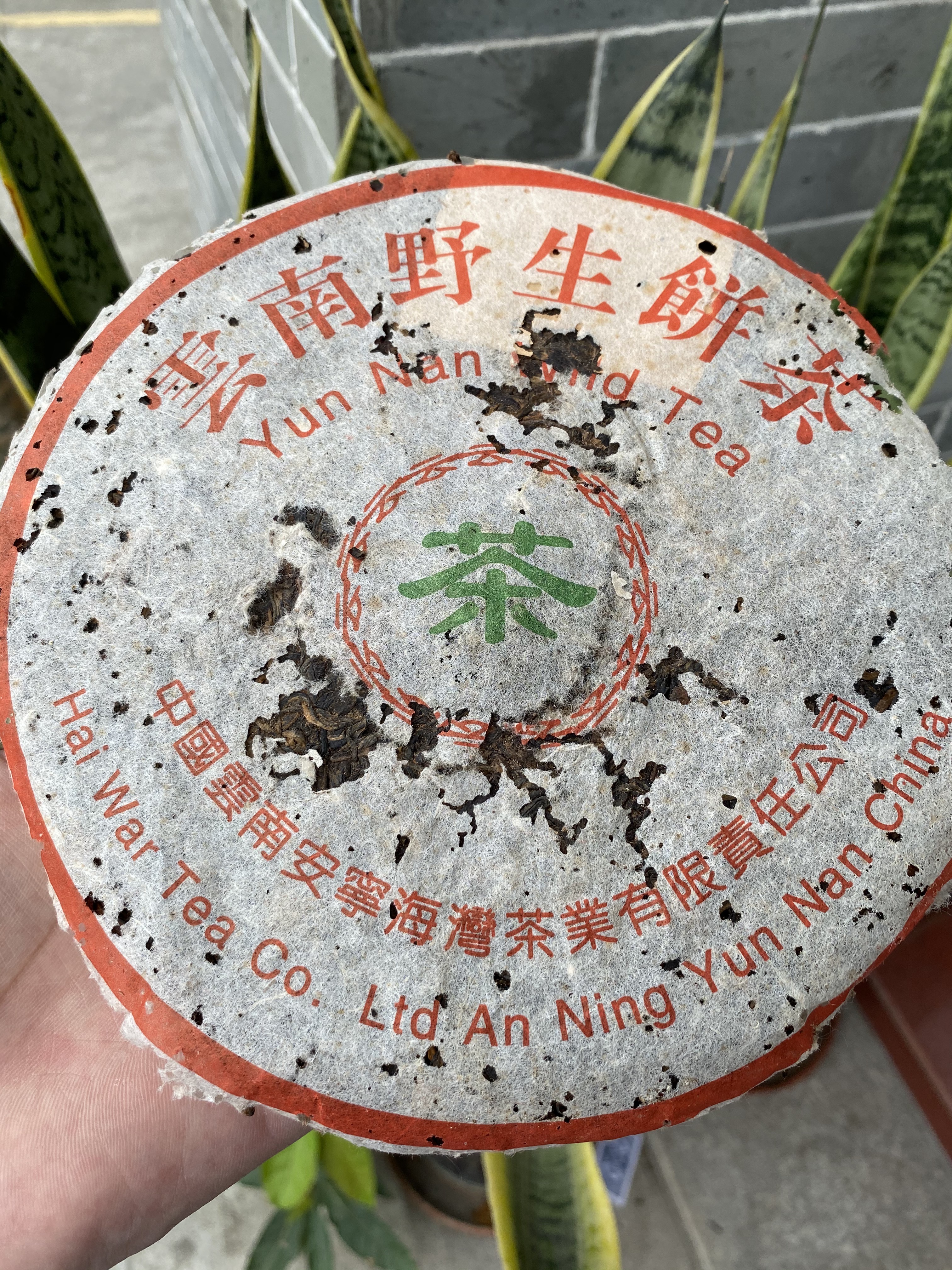 99年老同志7068配图6