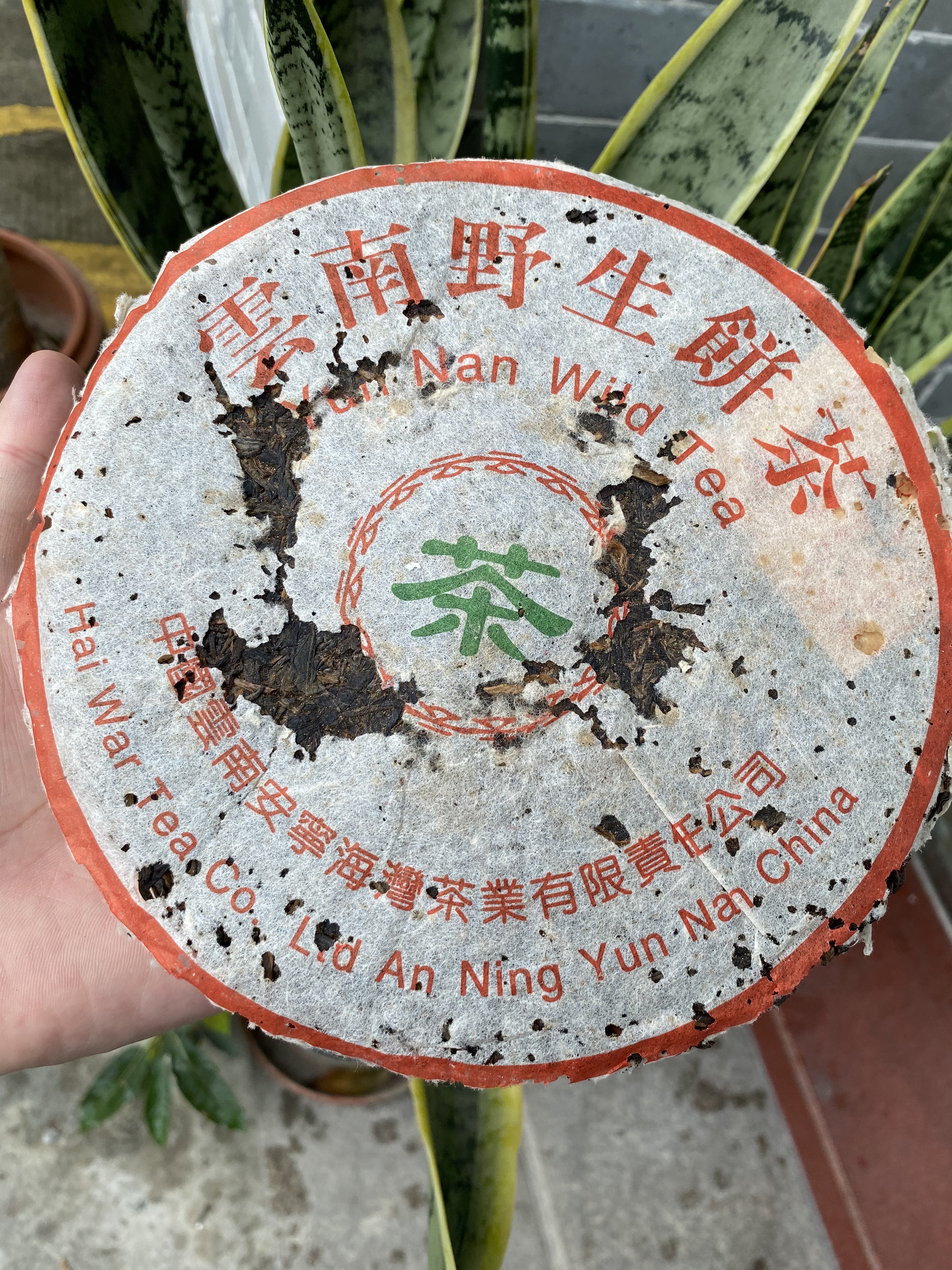 99年老同志7068配图4