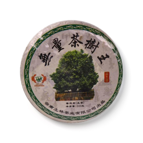 无量山茶树王茶品图