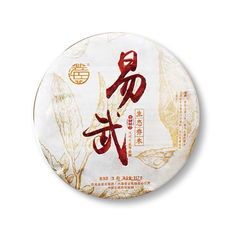 易武生态乔木茶品图