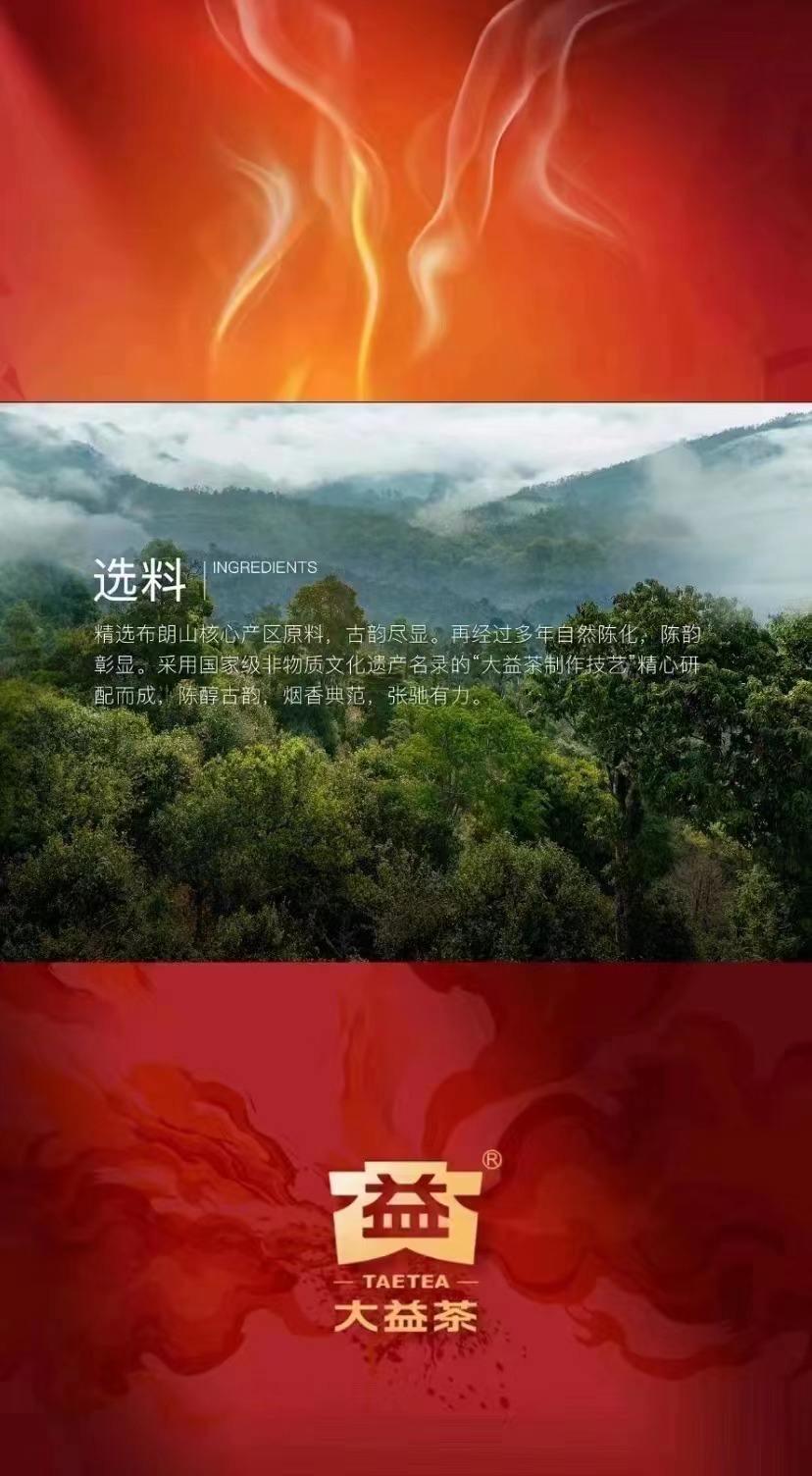 布朗山核心产区?大树古树?配图1