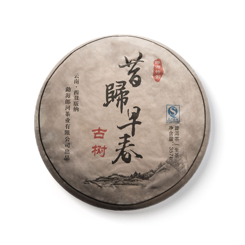 昔归早春茶品图