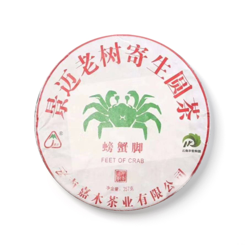 景迈老树寄生圆茶茶品图