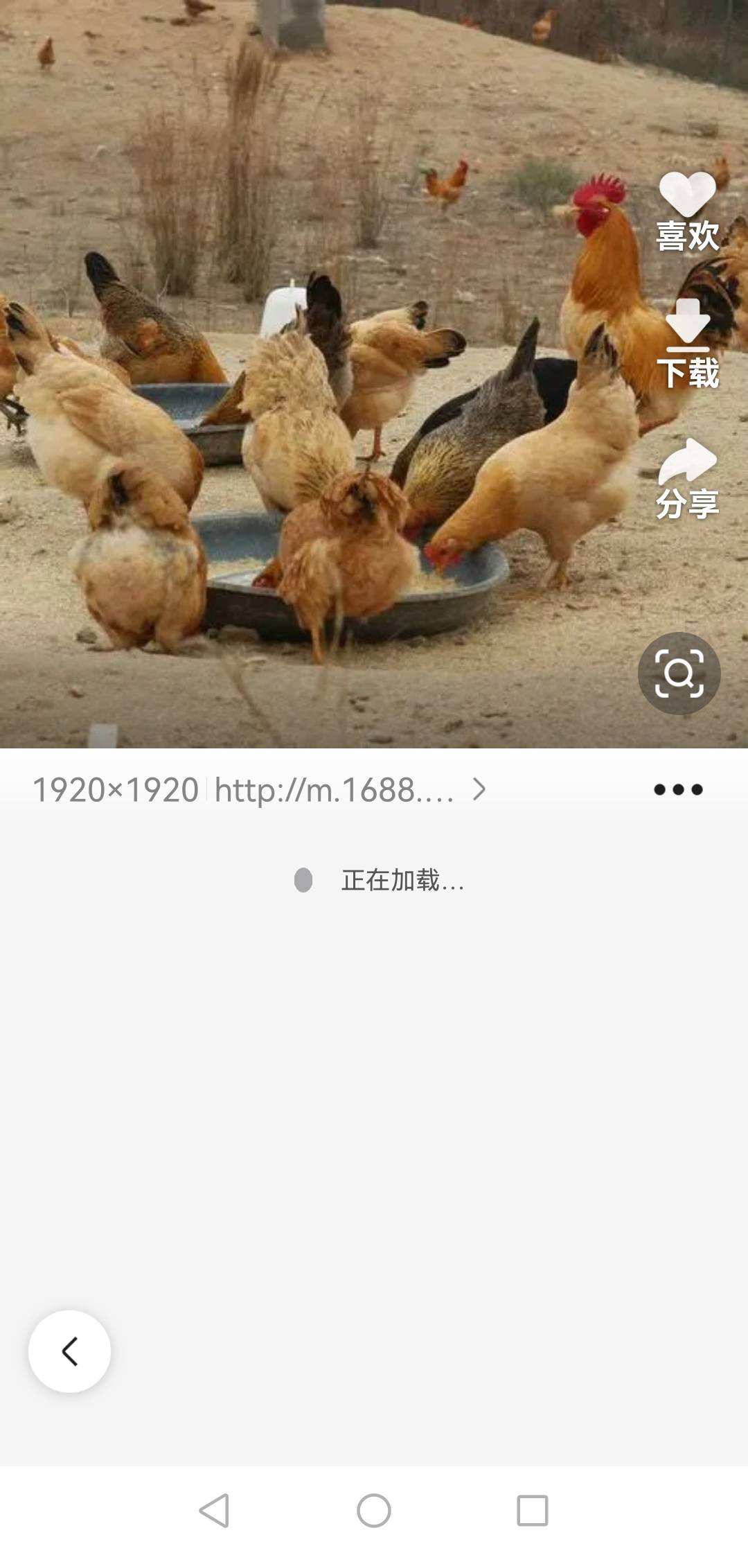 疯茶西游之自选配图1