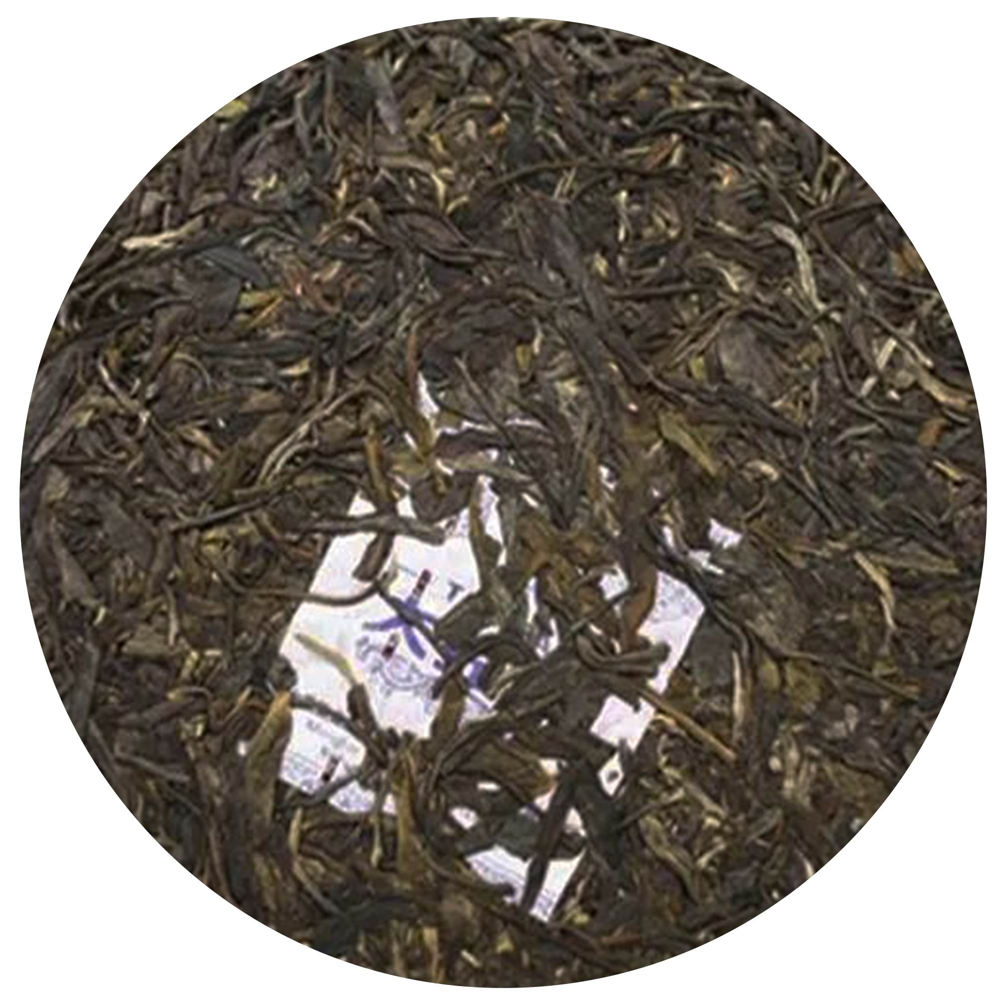 1501 善美祥羊 茶饼特征