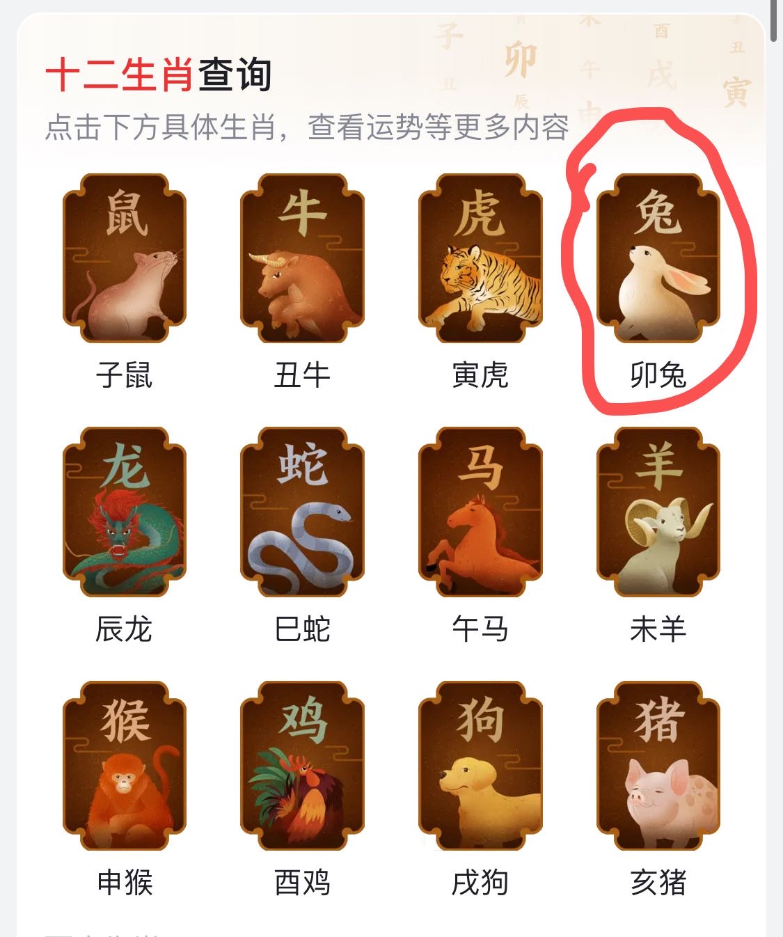生肖兔饼一定会出来的,这是板上钉钉的。配图1