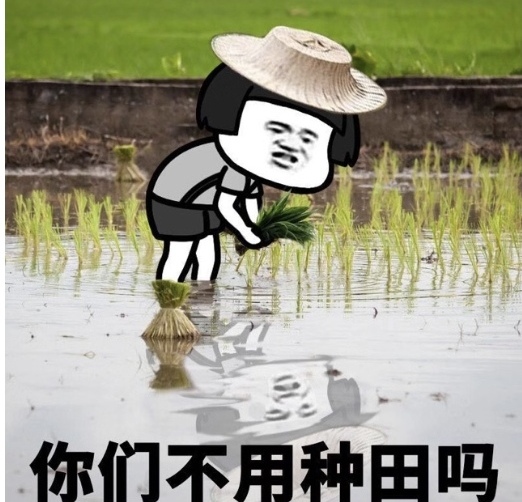 市场出茶量逐渐追赶找茶量,这波行情差不多到头了!配图1