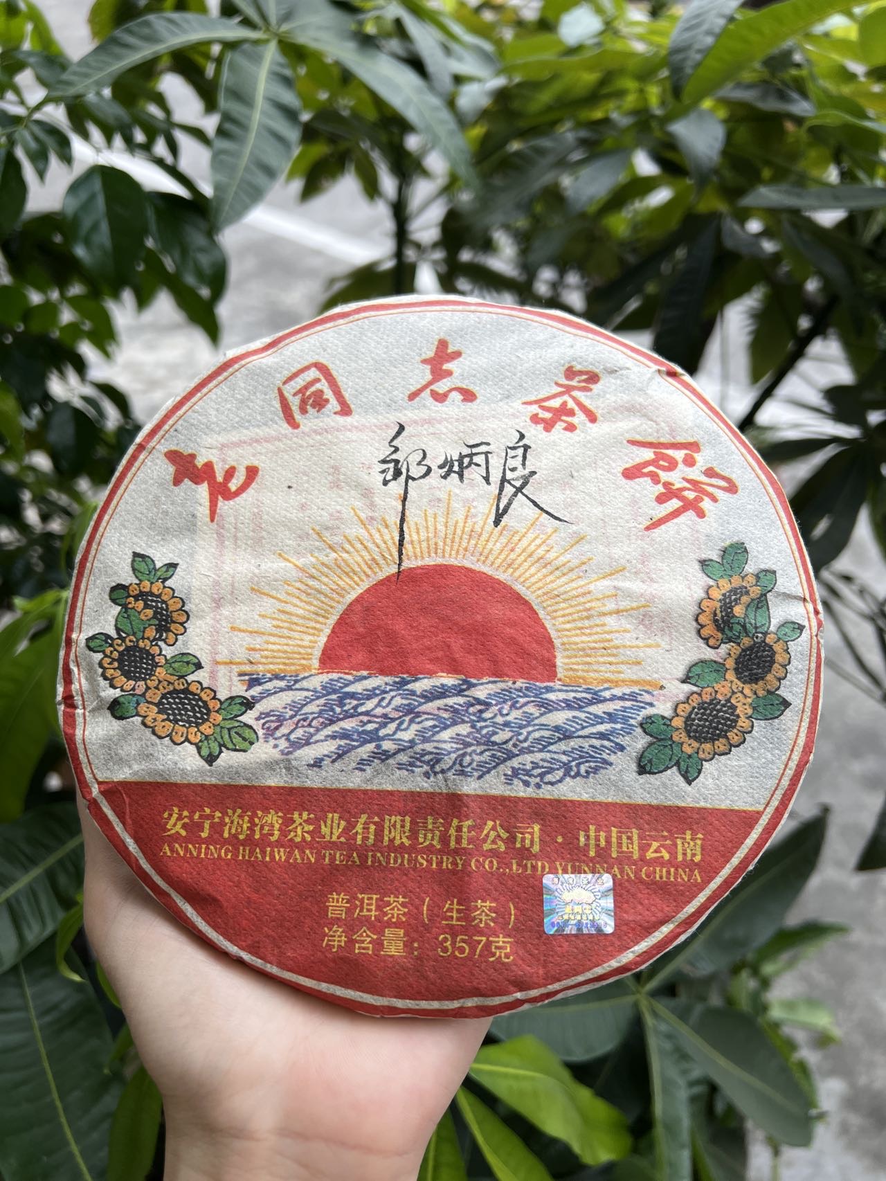 好茶分享🍵配图1