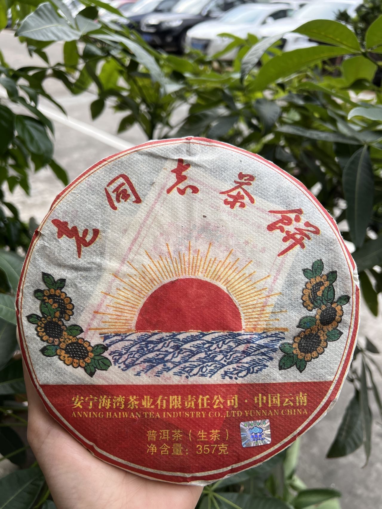 好茶分享🍵配图4