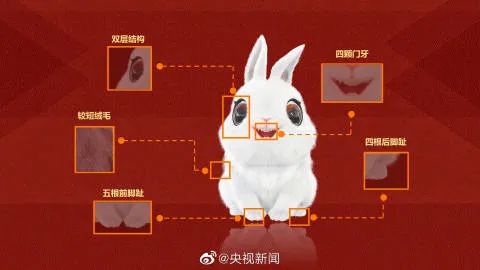 兔子要扑,怎么可能!配图1