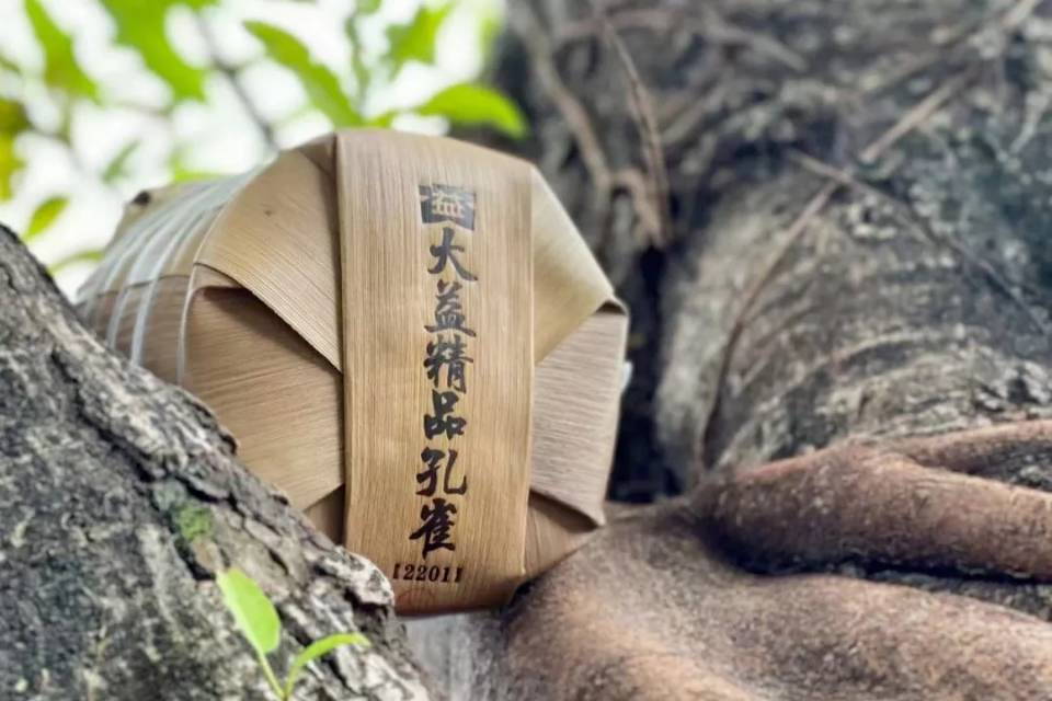 布朗核心区用料,还是大树料,无以复加的概念加持配图7