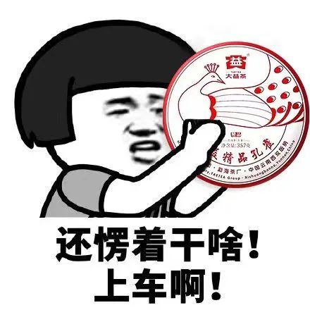 布朗核心区用料,还是大树料,无以复加的概念加持配图9