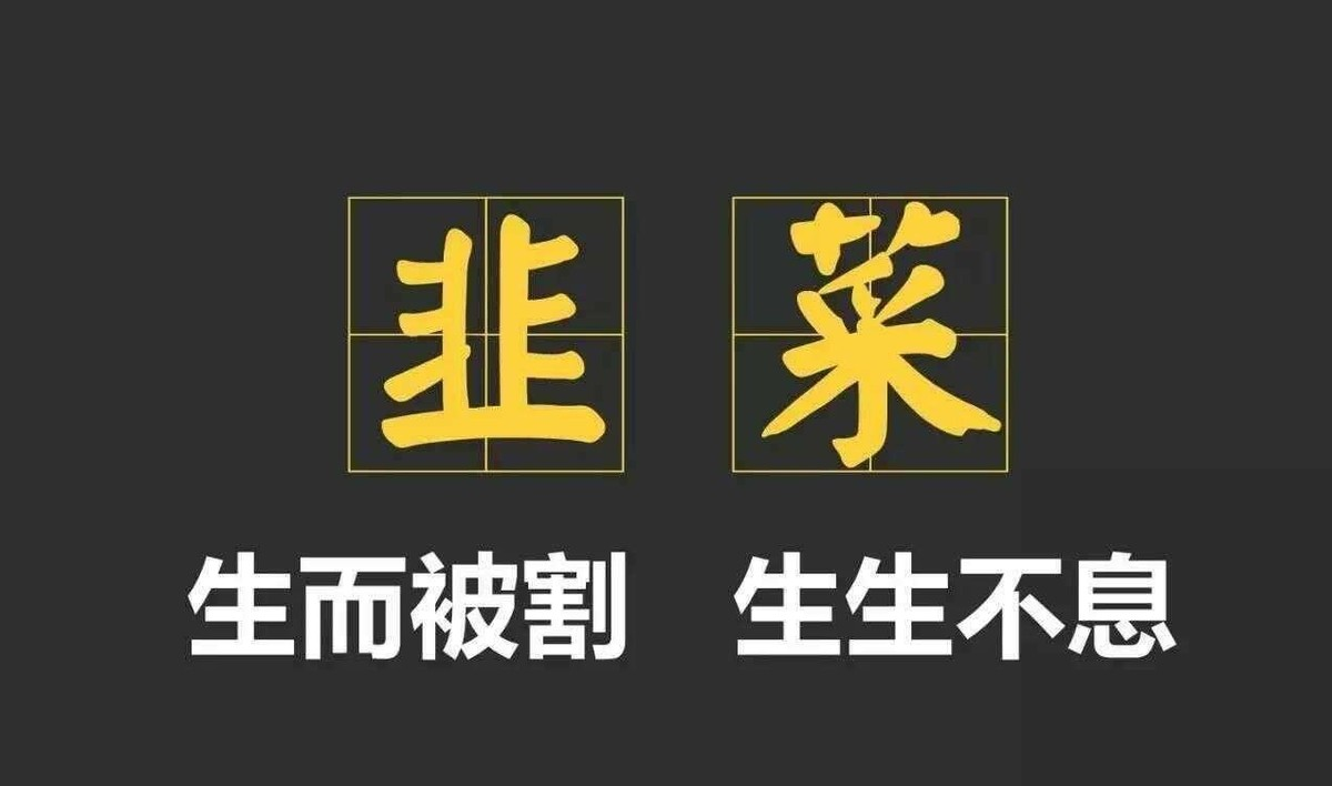 行情下一步该走如何走配图1