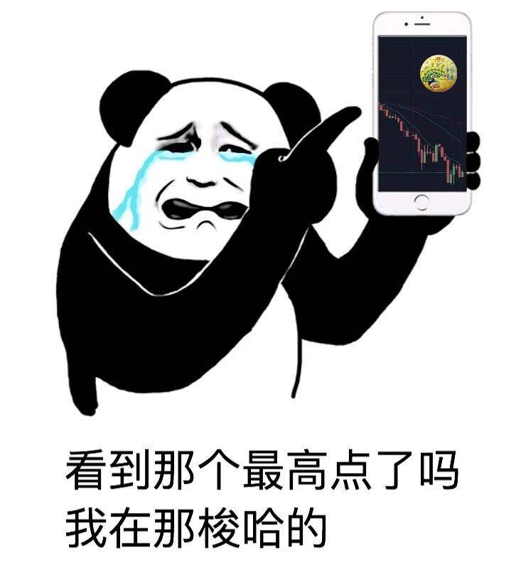 千羽孔雀还飞的动吗配图2