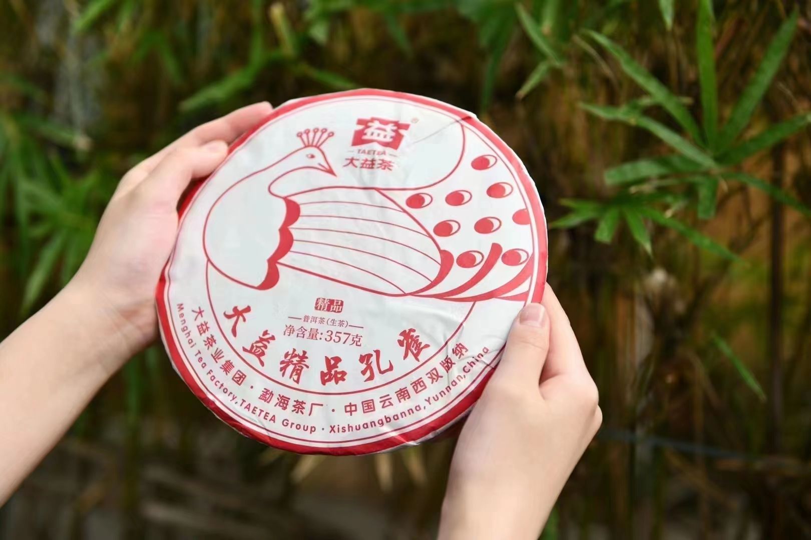 精品孔雀还是风向标,新银大益是引线配图2