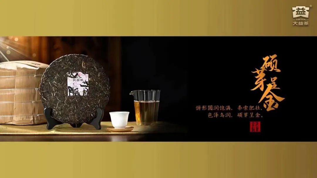 全村都在放空的银大益,真的就一点机会都没有了?封面