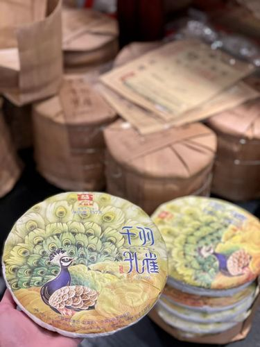 千羽孔雀茶2023年的投资建议配图1