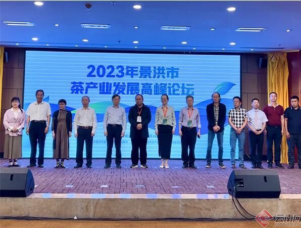 景洪市2023年茶产业发展高峰论坛成功举办配图1
