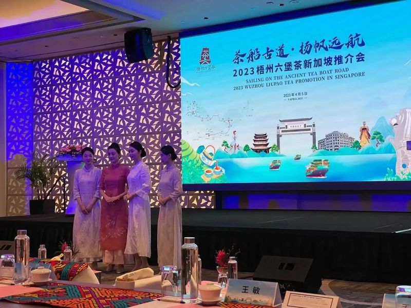 2023中国广西梧州六堡茶新加坡推介会成功举办配图2