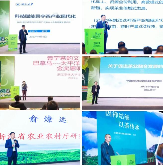 以茶为媒 共谋发展 “金奖惠明 千年禅茶”高质量发展论坛举行配图3
