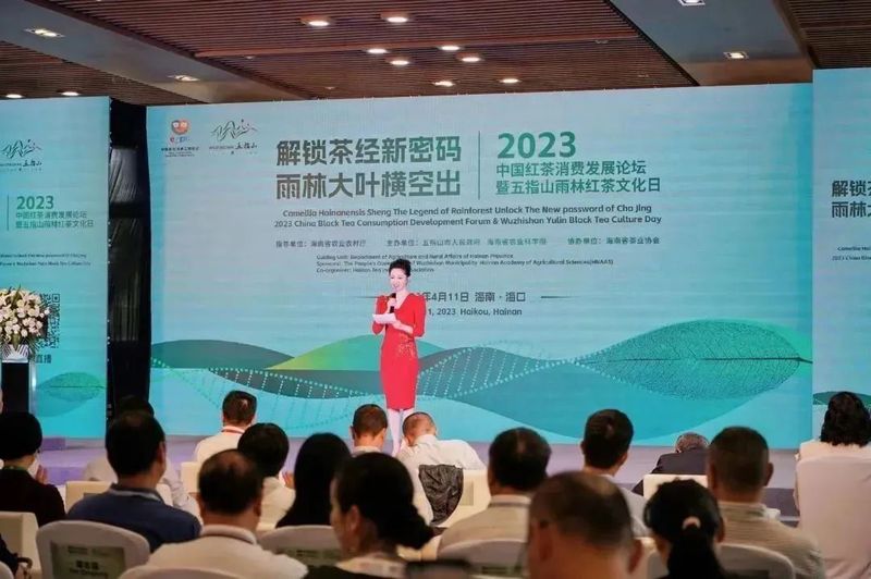 重磅发布!海南大叶茶为新茶种 拟命名为五指山茶配图1