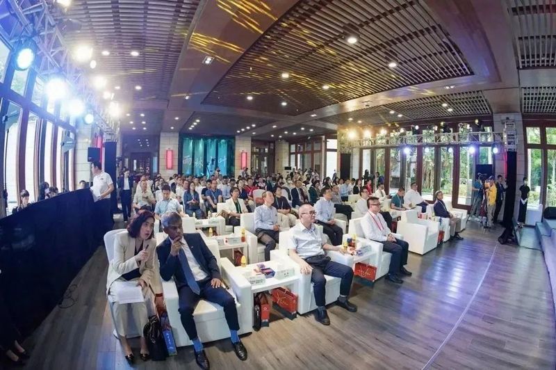 重磅发布!海南大叶茶为新茶种 拟命名为五指山茶配图2