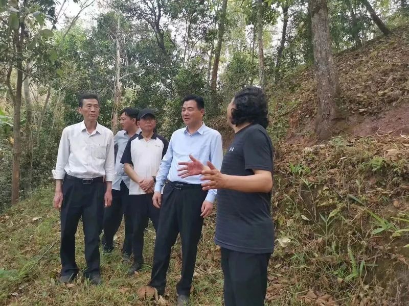 漳州市海峡两岸茶业交流协会组团赴云南参观考察茶产业发展配图1