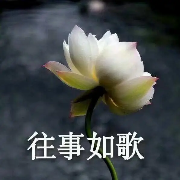 仅靠品饮端撑不起消费市场配图1