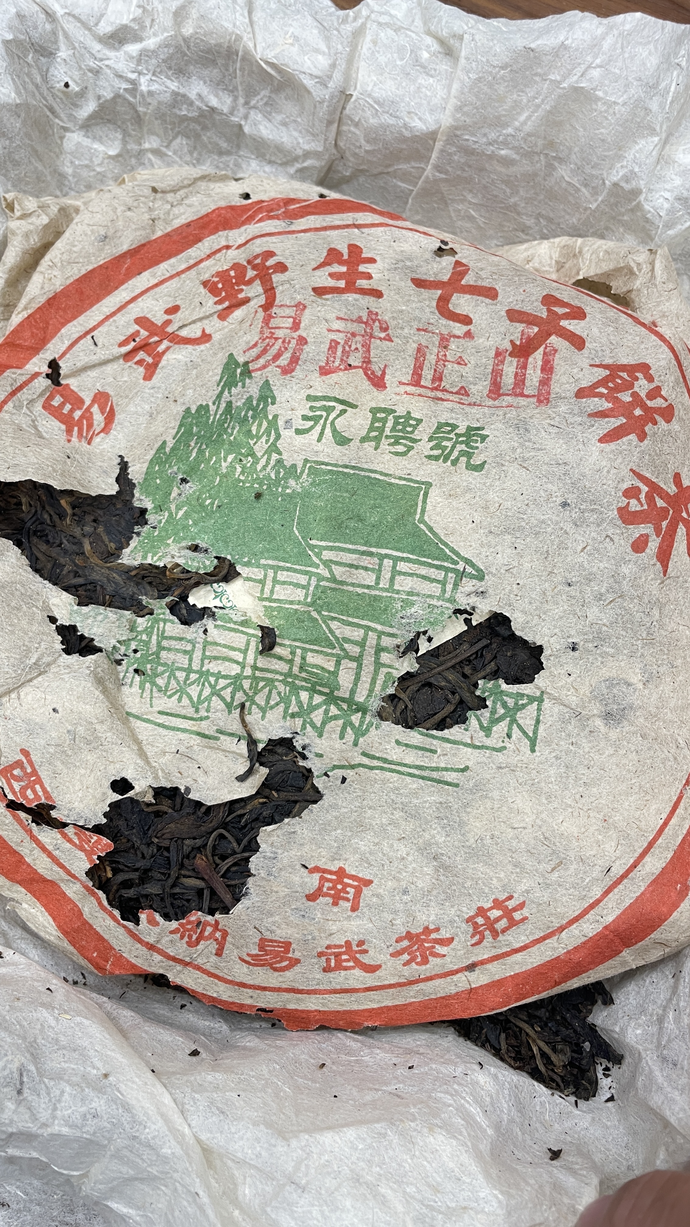 永聘号易武野生茶配图4