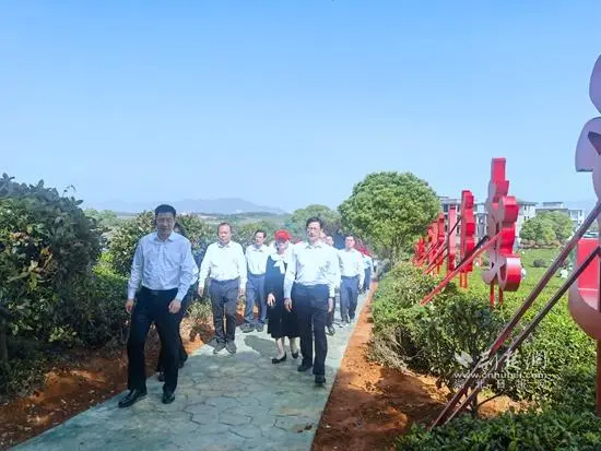 阳新茶产业带动2万农户增收配图1
