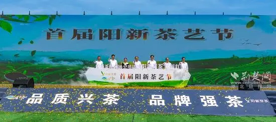 阳新茶产业带动2万农户增收配图2