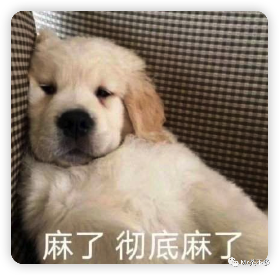 国粹十天结束,新品蓄势待发封面