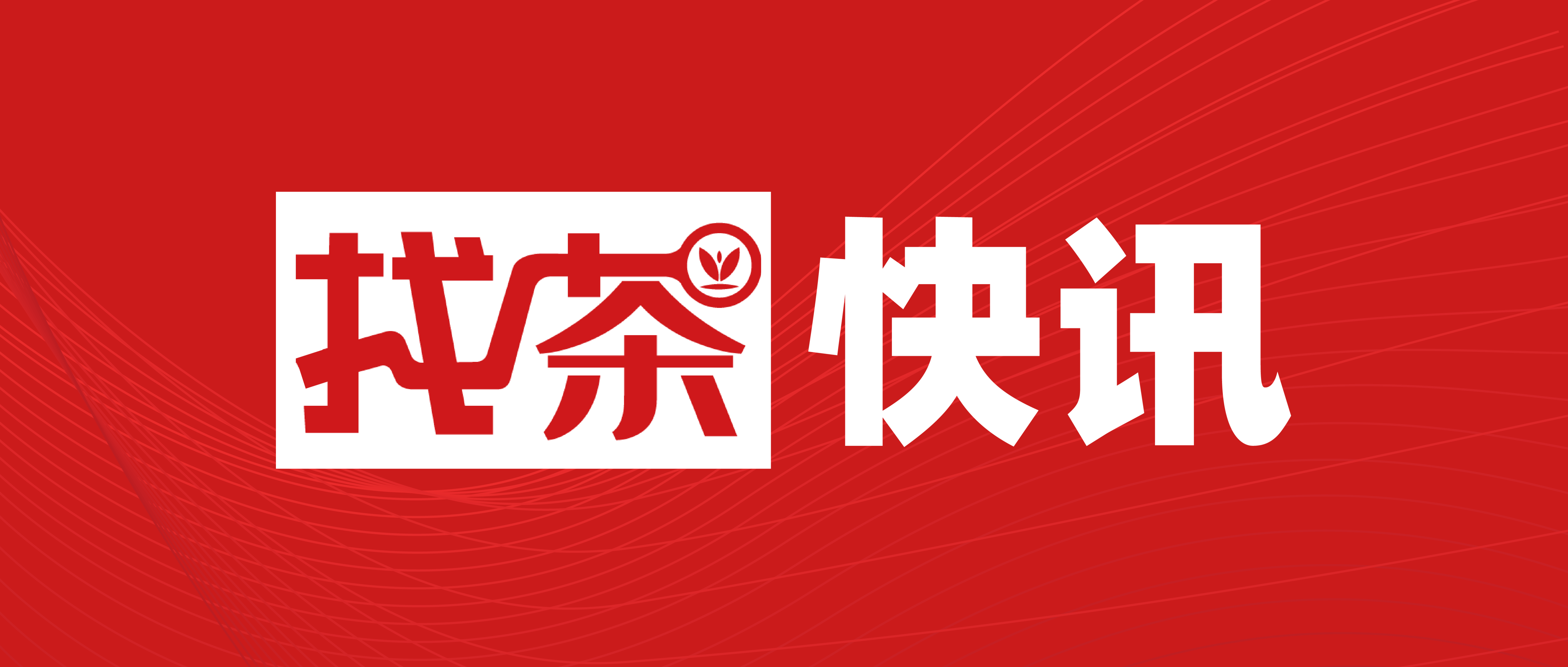 「找茶快讯」是怎样炼成的?封面