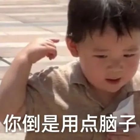 没脑子的一届班子配图1