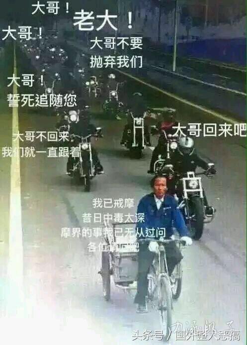 印象版纳,谁是大哥?配图1