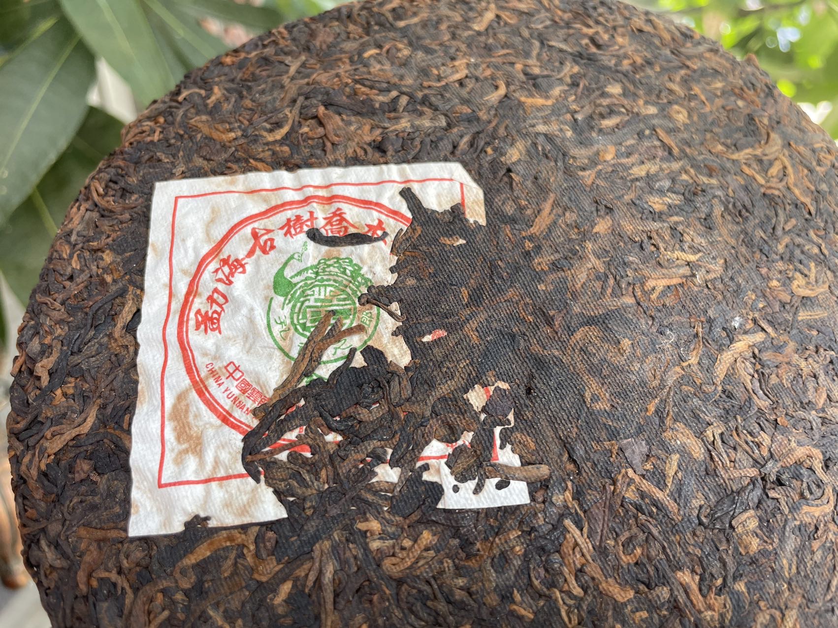 精品熟茶配图8