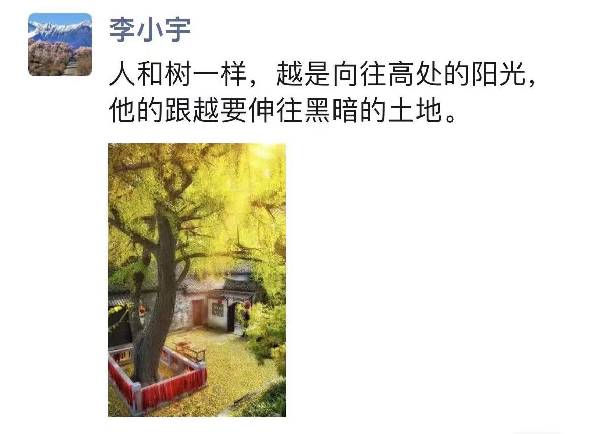 让西安大树给你上一课!!!!配图1