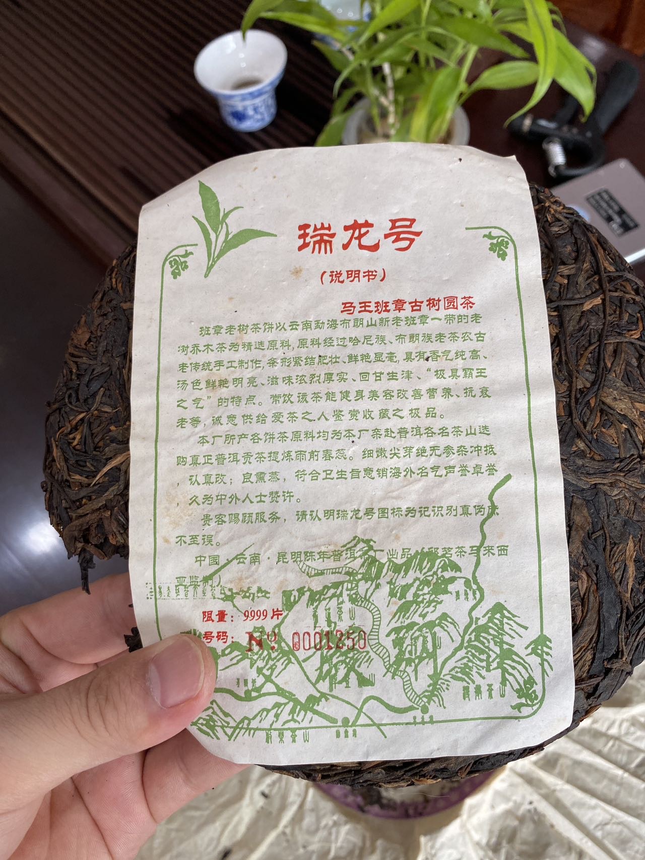 05年瑞龙号班章茶王配图4