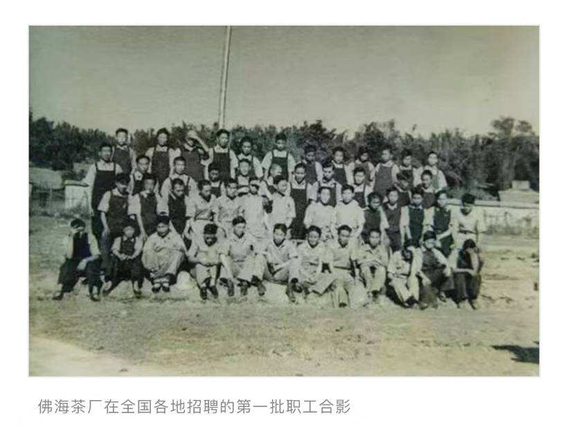 带烟香好茶分享配图3