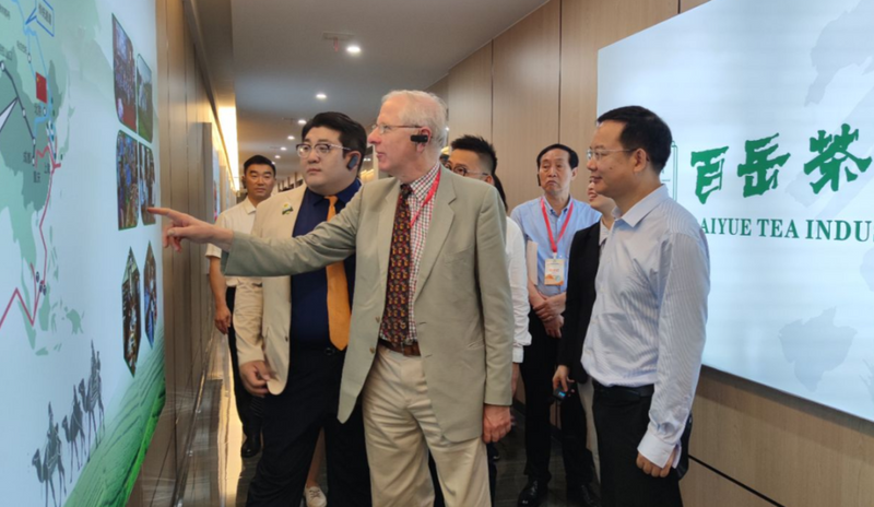 第四届国际(乐山)绿茶大会 以茶为媒 国际国内嘉宾齐聚夹江配图1