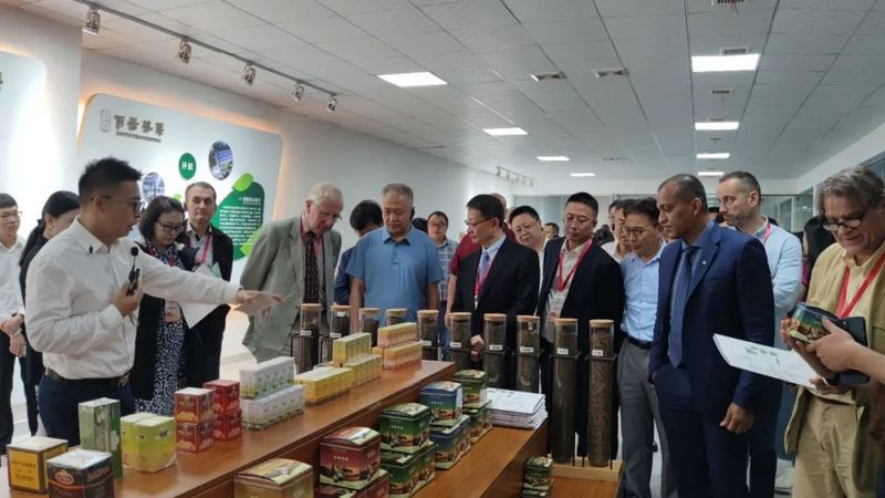 第四届国际(乐山)绿茶大会 以茶为媒 国际国内嘉宾齐聚夹江配图2