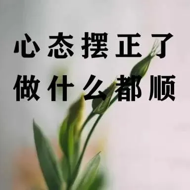 谏言配图1