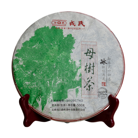 2022年母树茶 云南普洱茶 生茶饼 500克茶品图