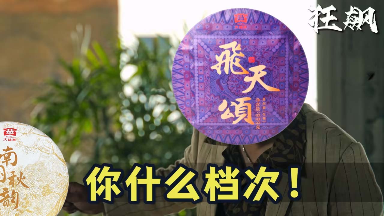 关于南国秋韵我的评价是,不如飞天颂配图1