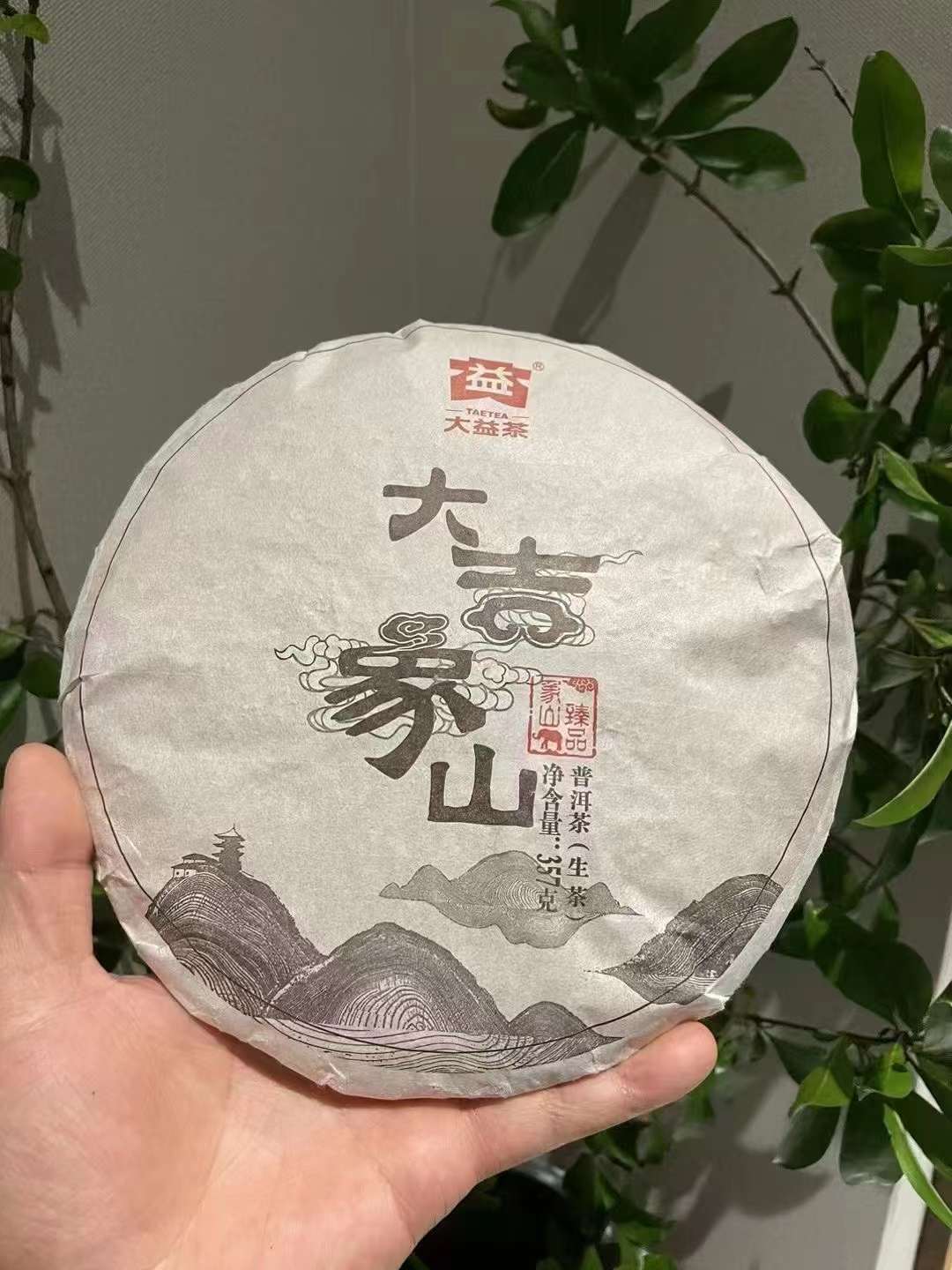 1501 大吉象山配图1