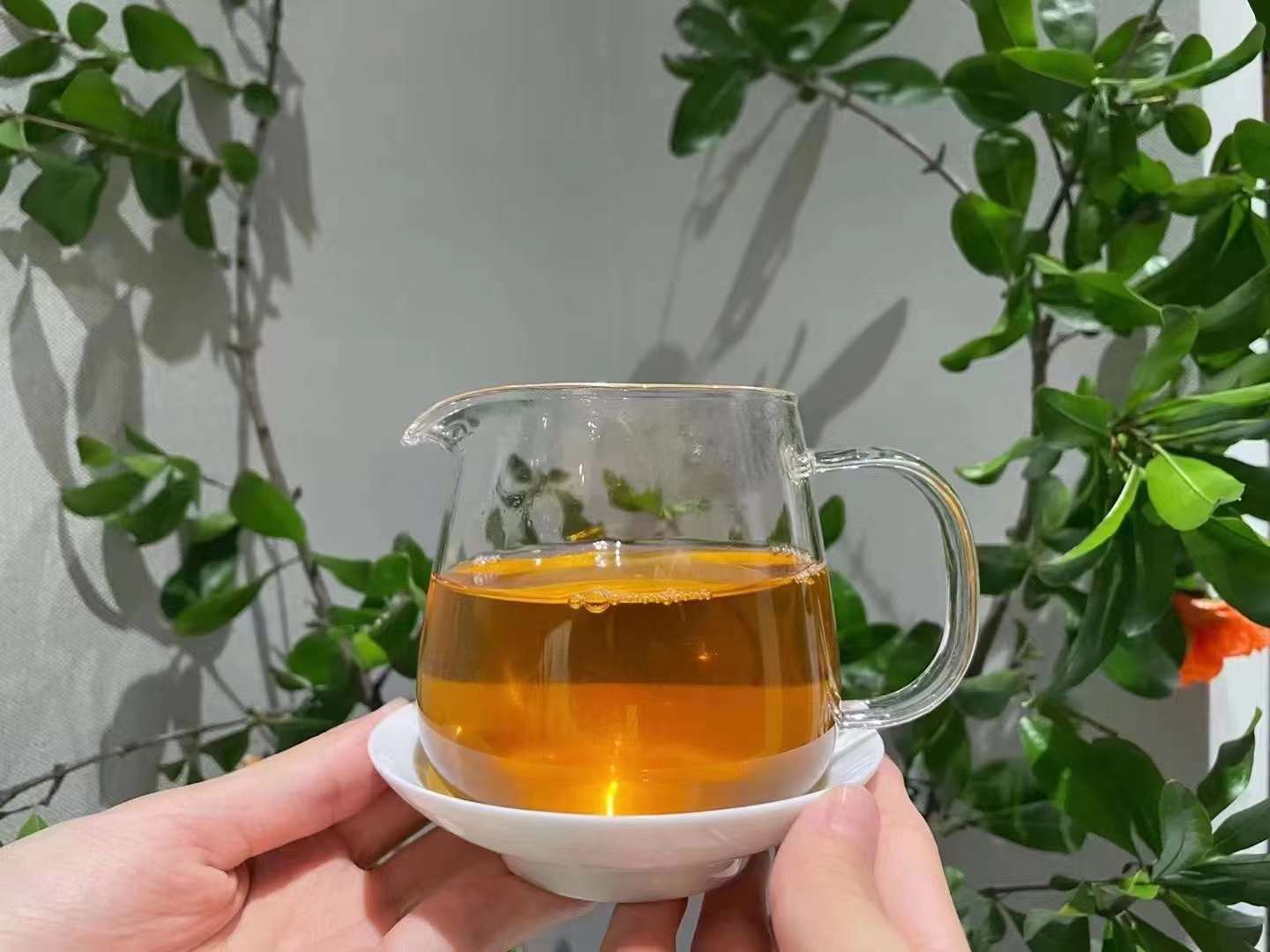 1501 大吉象山配图2