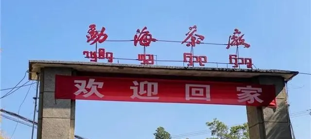 厂庆倒计时1天,茶有大益,相约勐海封面