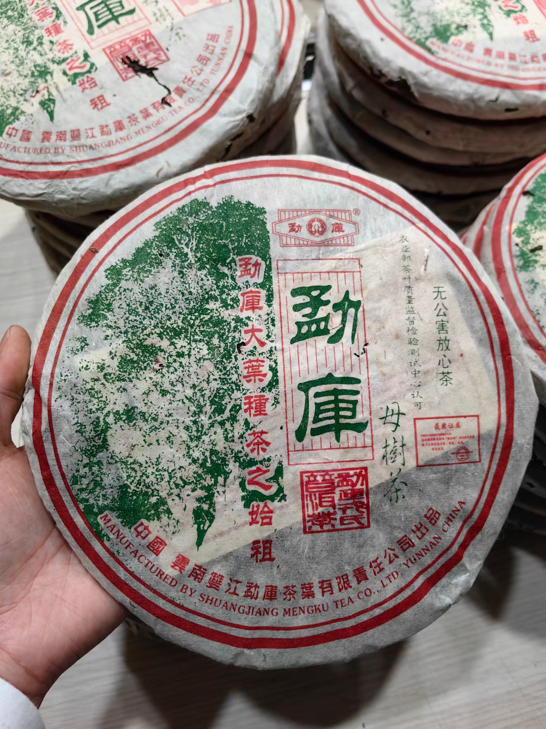 2005勐库戎氏母树茶秋母10月份配图1