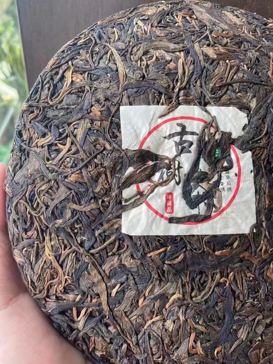 06年首批冰岛古树茶配图6